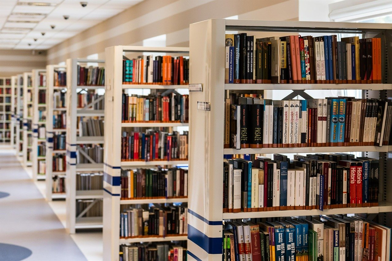 Domowa biblioteczka – jak ją urządzić?