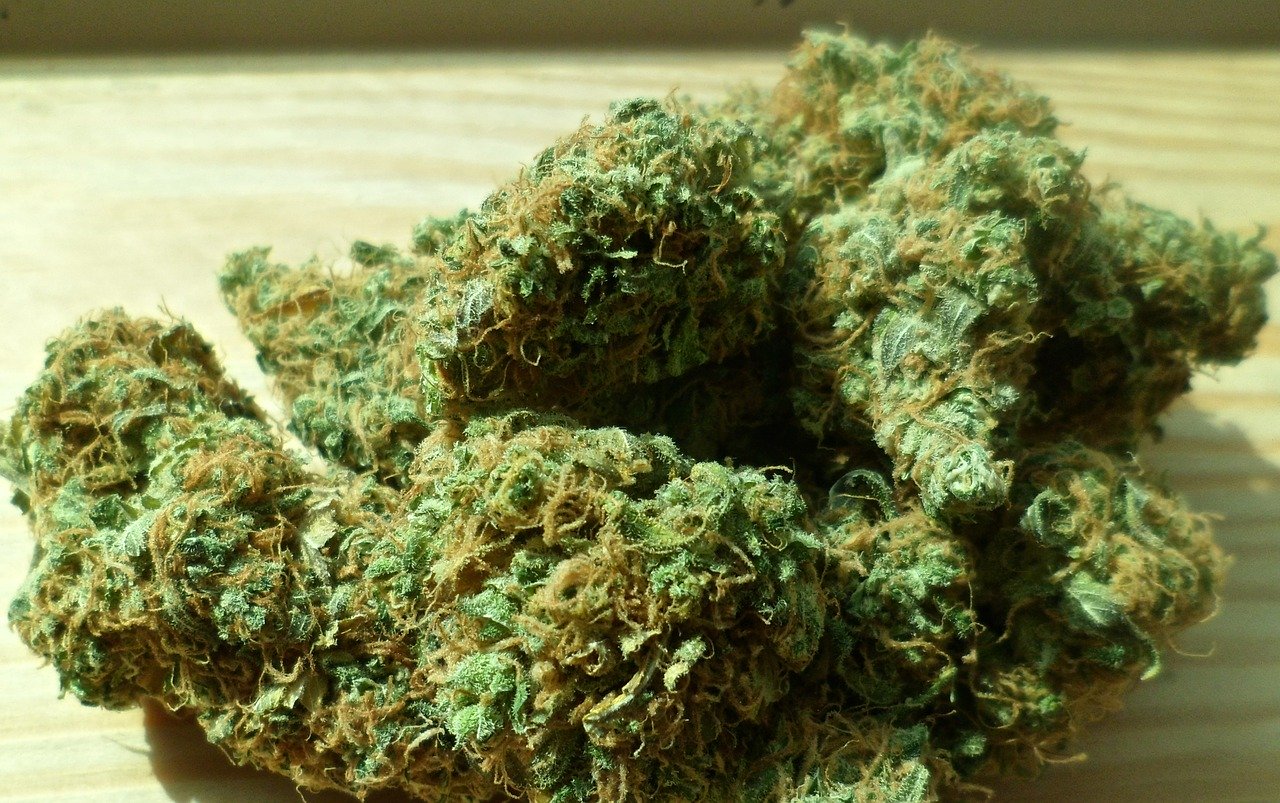 Skąd pochodzą nasiona marihuany?